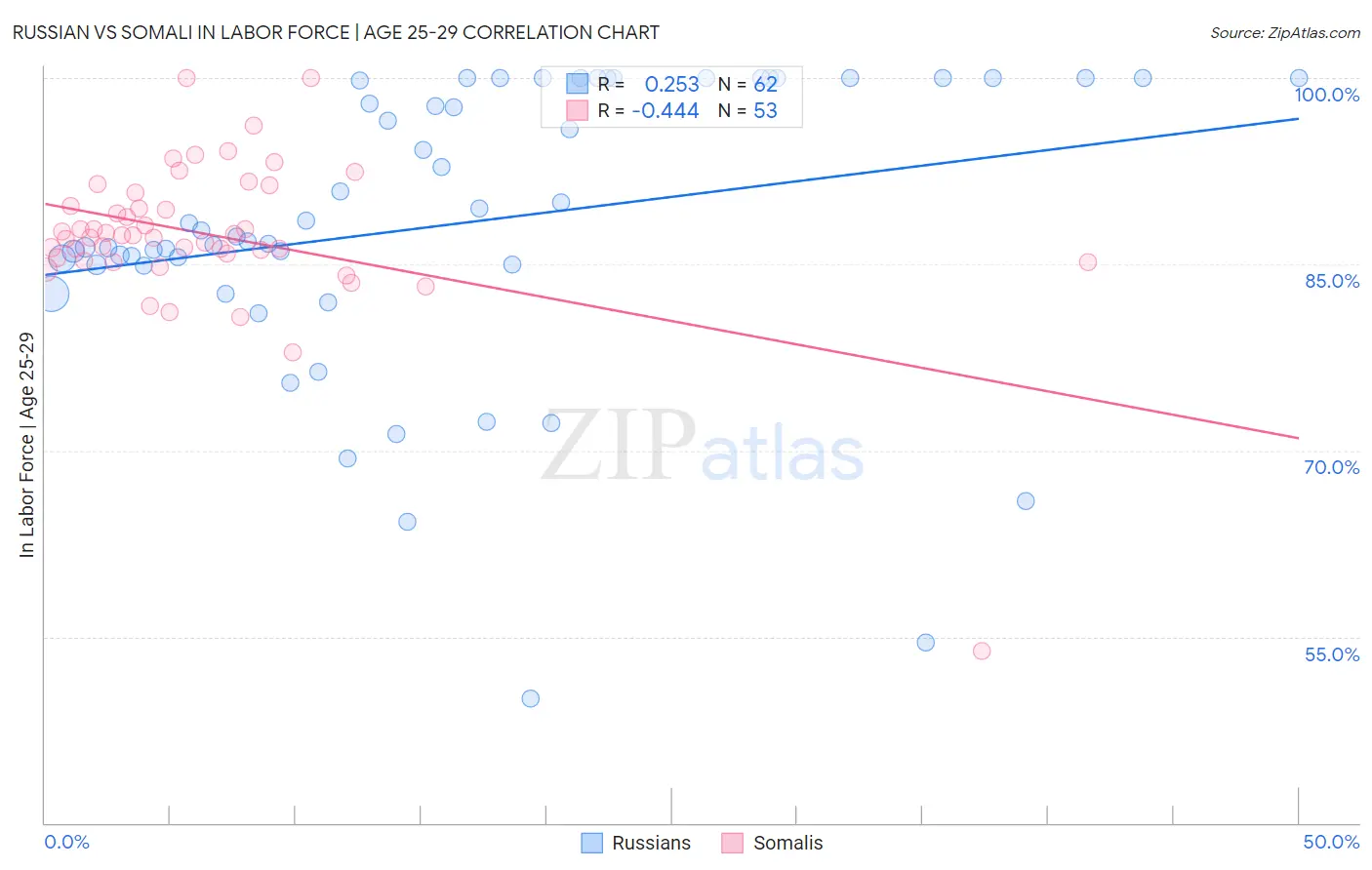 Russian vs Somali In Labor Force | Age 25-29