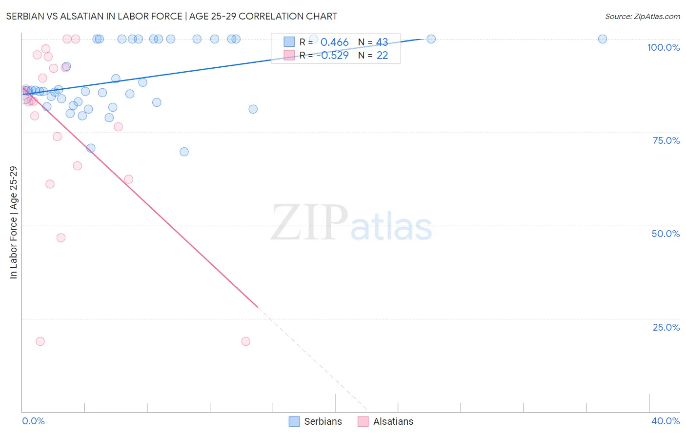 Serbian vs Alsatian In Labor Force | Age 25-29