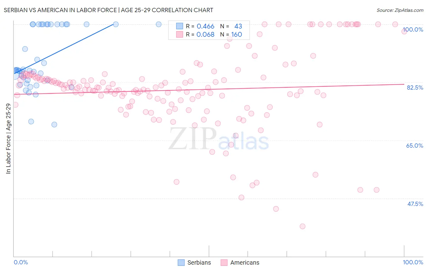 Serbian vs American In Labor Force | Age 25-29