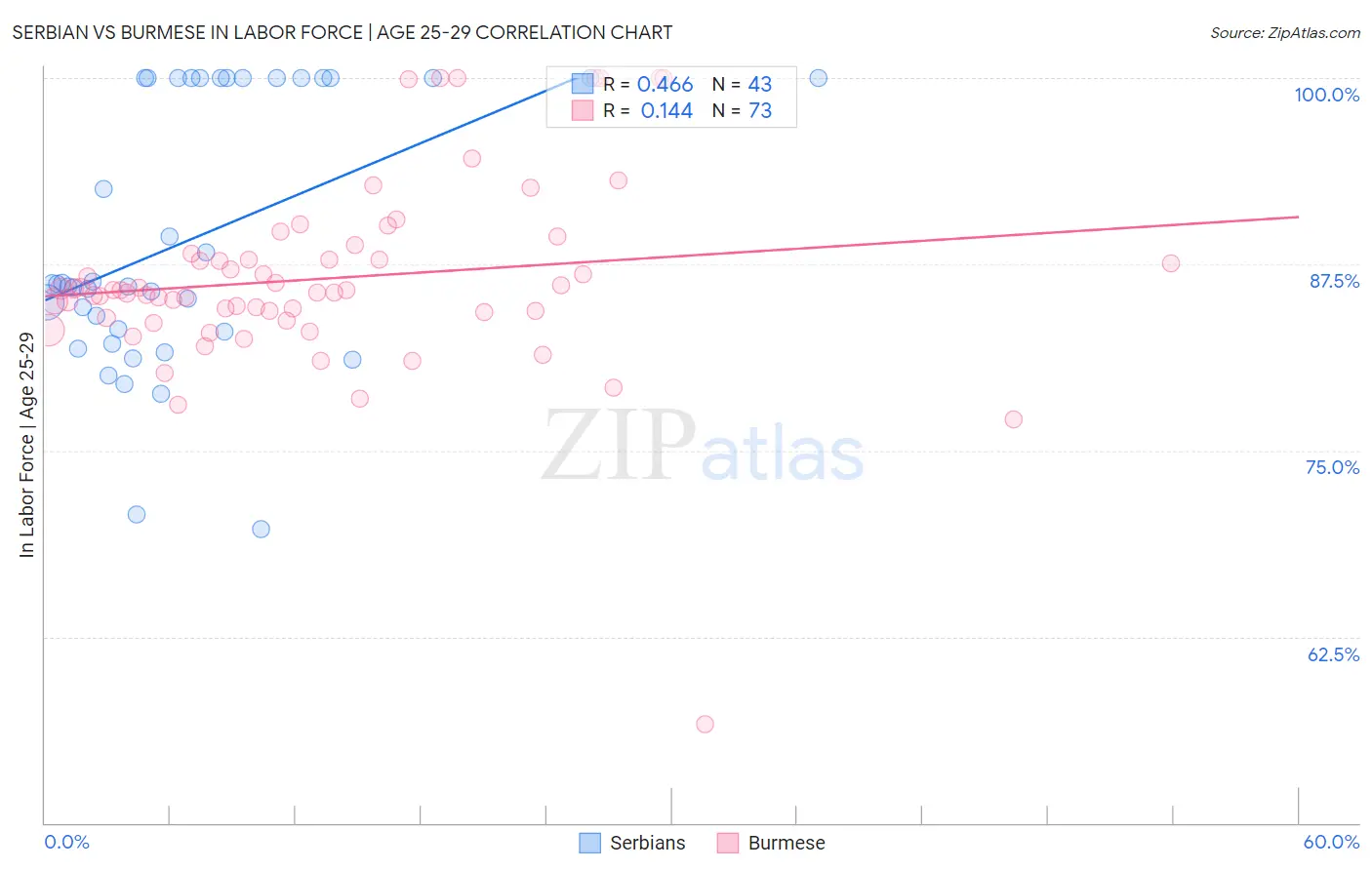 Serbian vs Burmese In Labor Force | Age 25-29