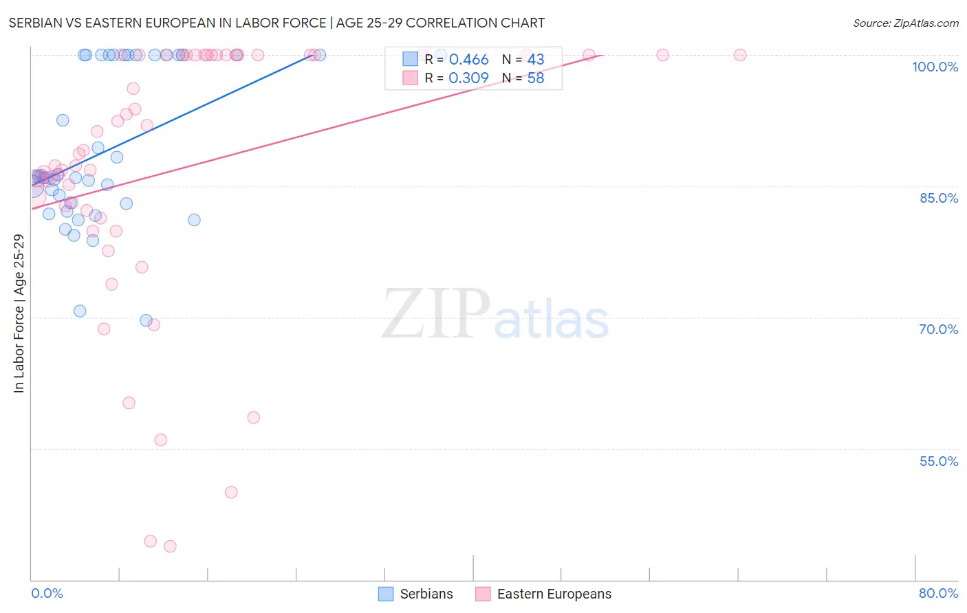 Serbian vs Eastern European In Labor Force | Age 25-29