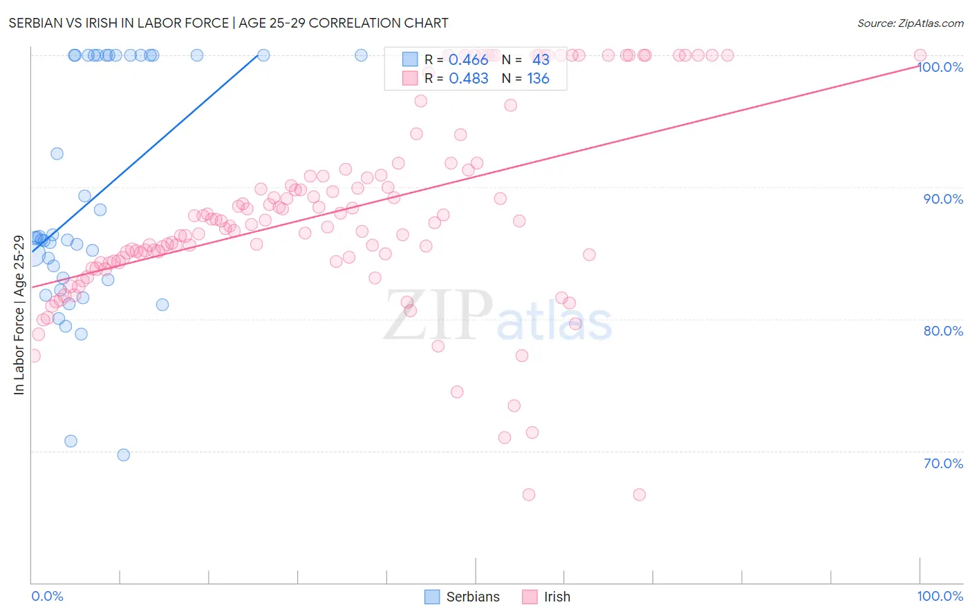 Serbian vs Irish In Labor Force | Age 25-29