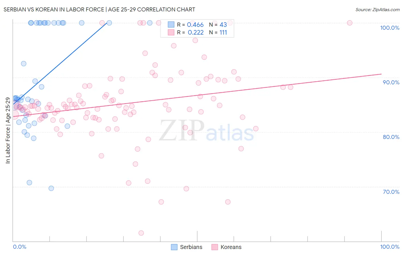 Serbian vs Korean In Labor Force | Age 25-29