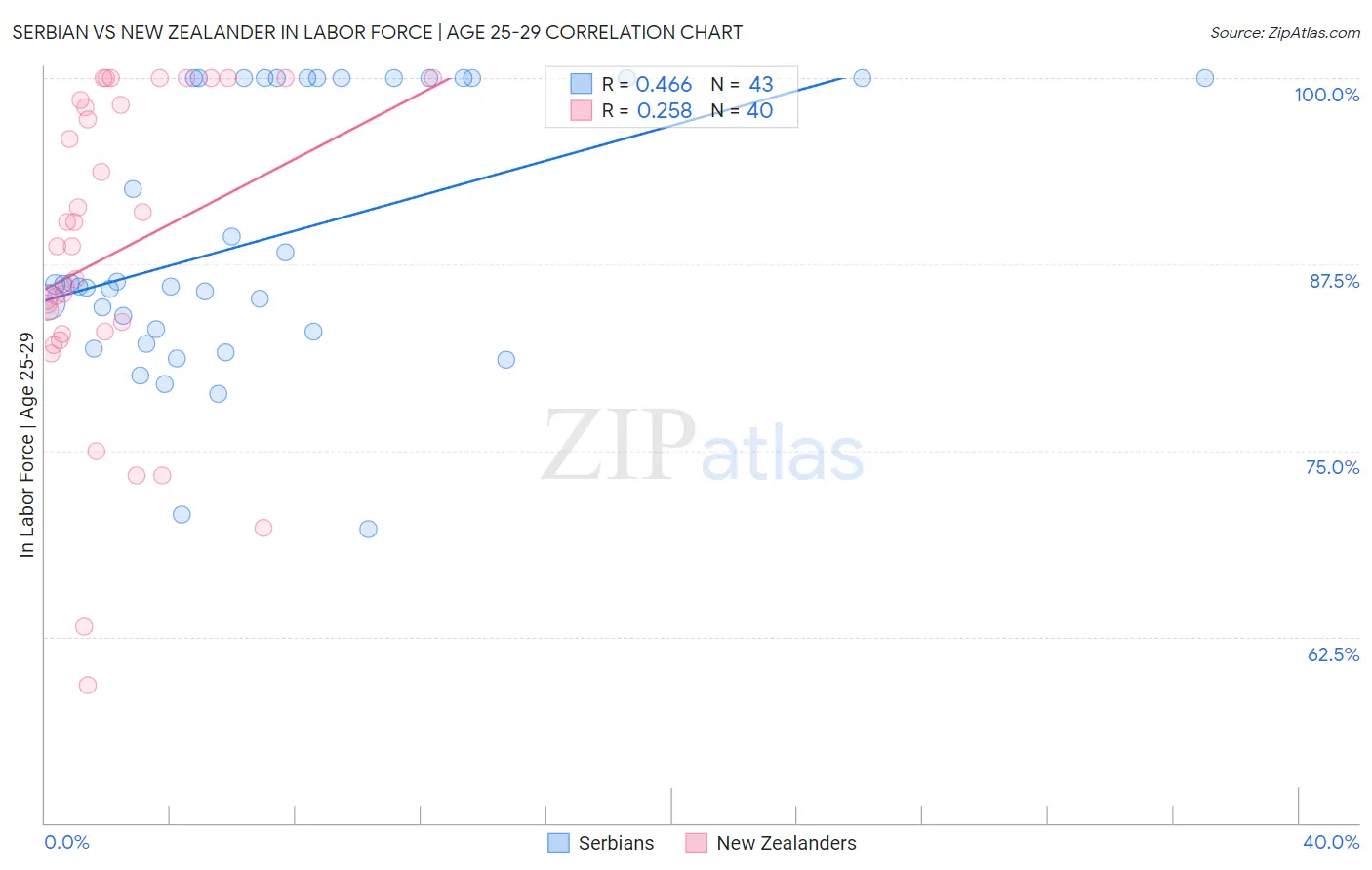 Serbian vs New Zealander In Labor Force | Age 25-29