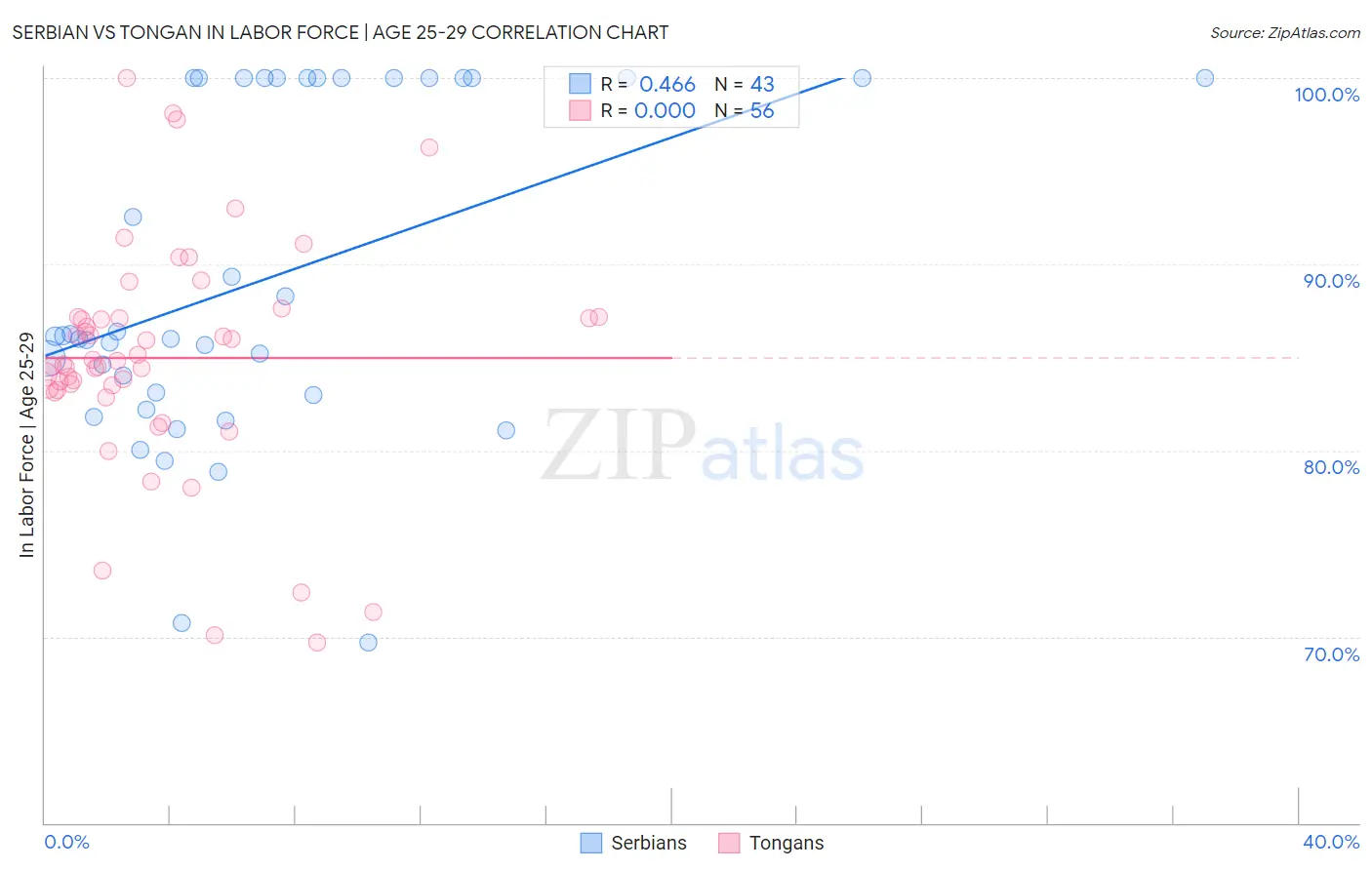 Serbian vs Tongan In Labor Force | Age 25-29