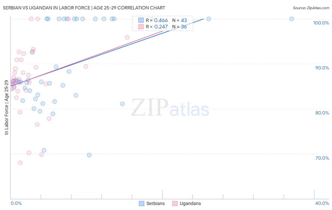 Serbian vs Ugandan In Labor Force | Age 25-29
