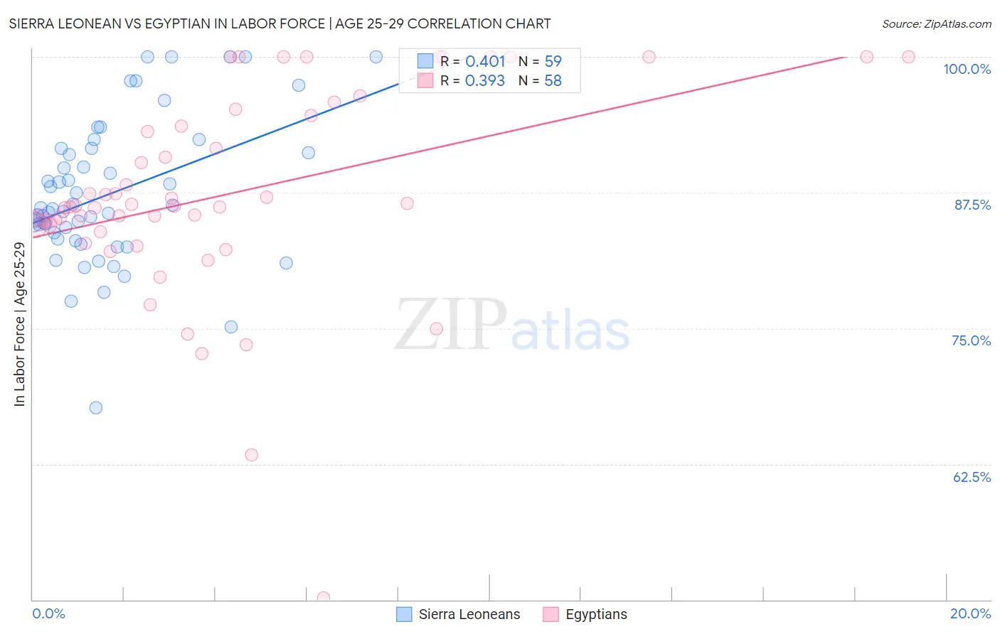 Sierra Leonean vs Egyptian In Labor Force | Age 25-29