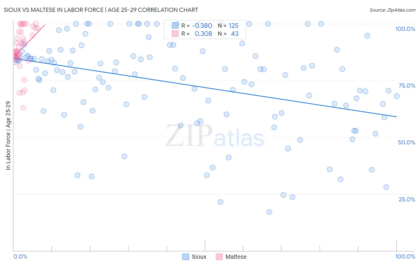 Sioux vs Maltese In Labor Force | Age 25-29