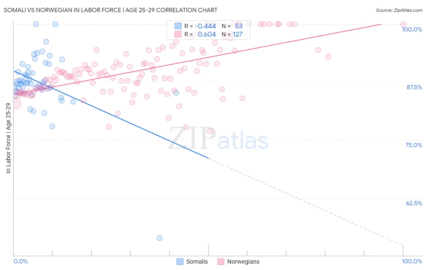 Somali vs Norwegian In Labor Force | Age 25-29