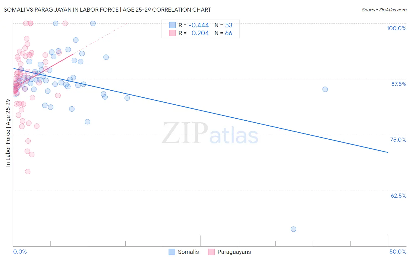 Somali vs Paraguayan In Labor Force | Age 25-29