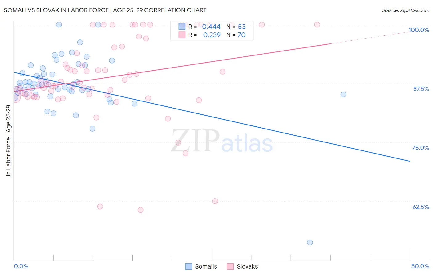 Somali vs Slovak In Labor Force | Age 25-29