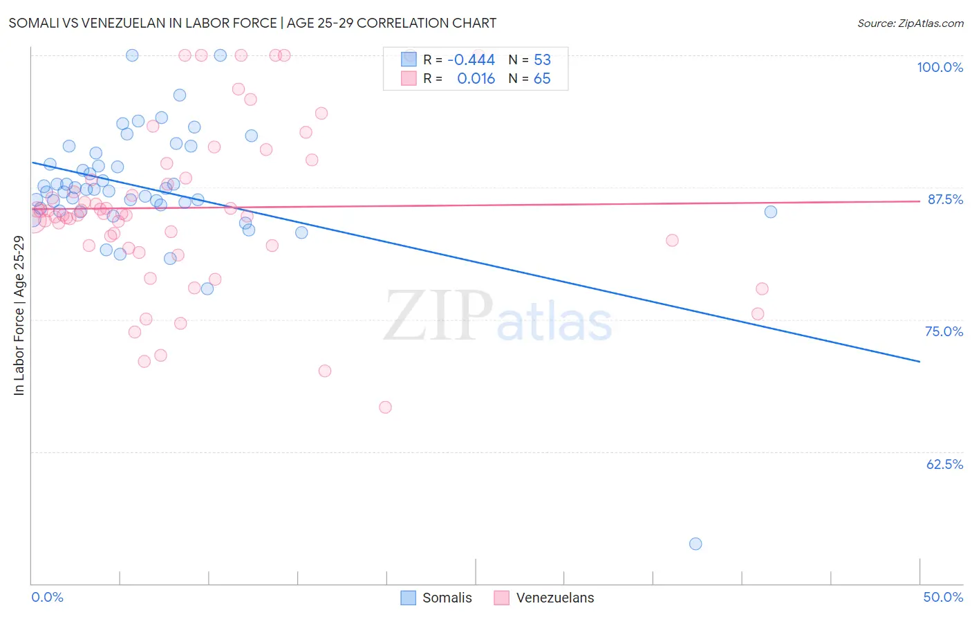 Somali vs Venezuelan In Labor Force | Age 25-29