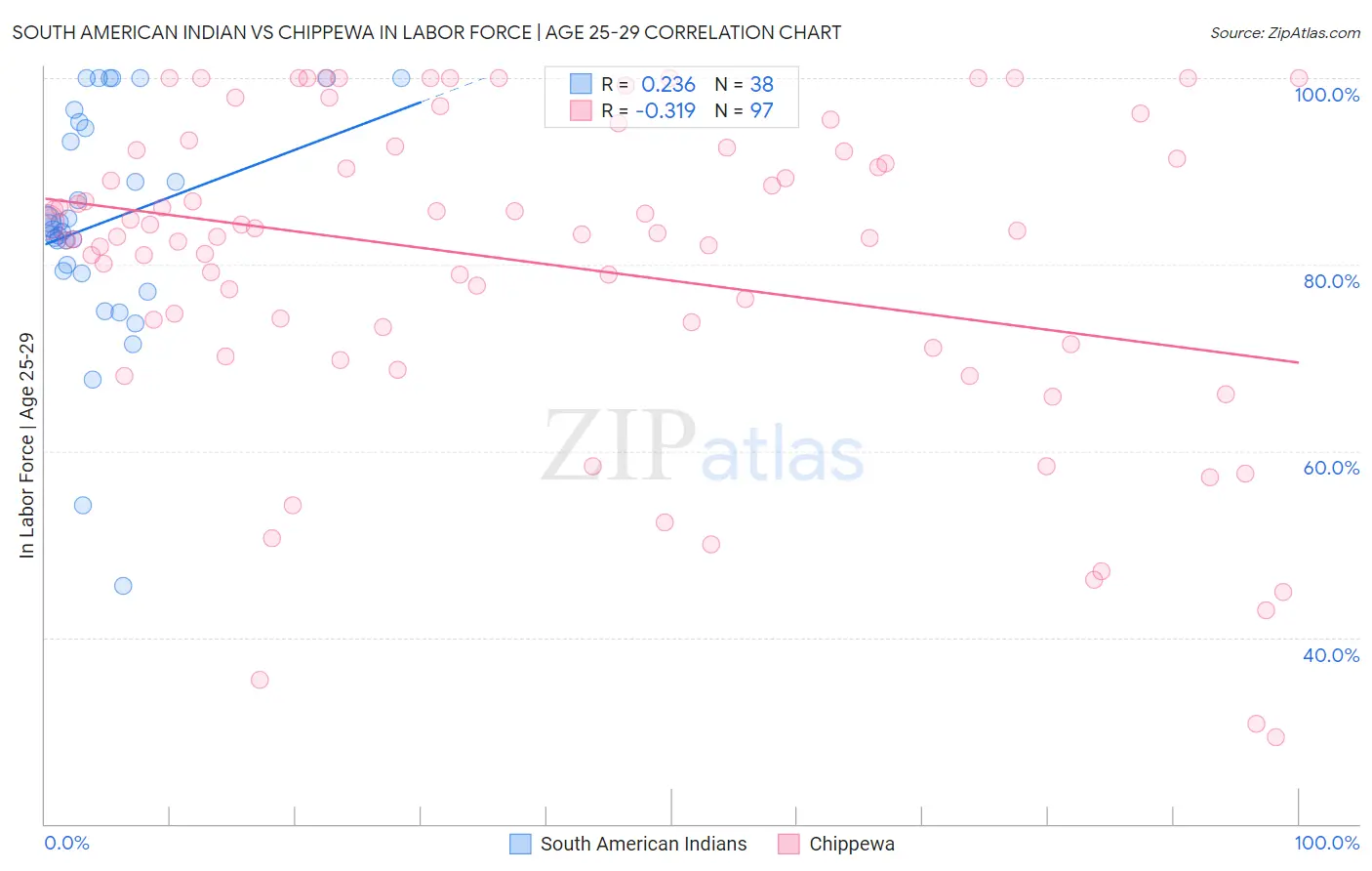 South American Indian vs Chippewa In Labor Force | Age 25-29