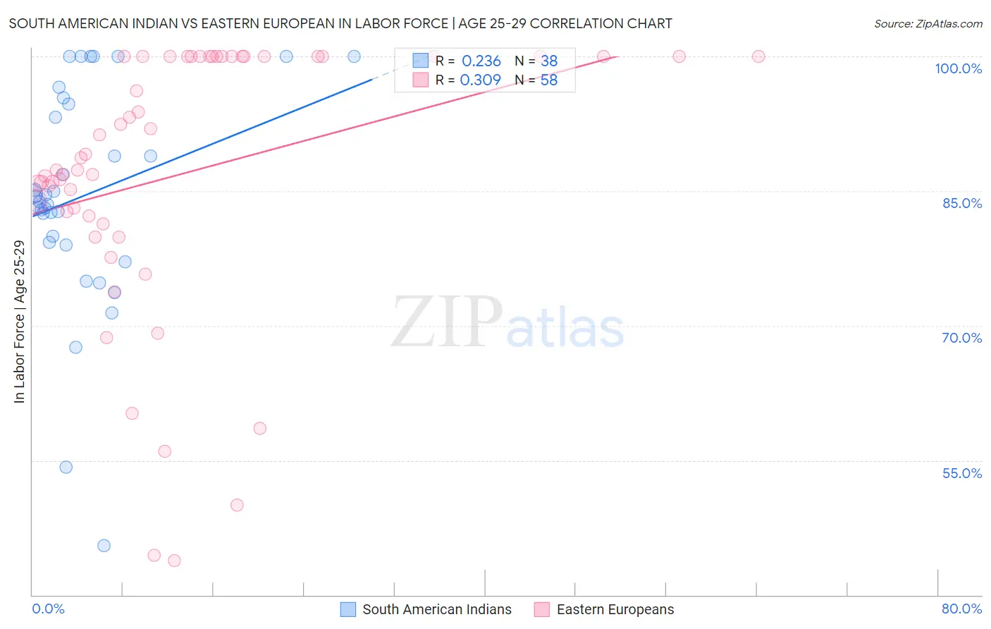 South American Indian vs Eastern European In Labor Force | Age 25-29