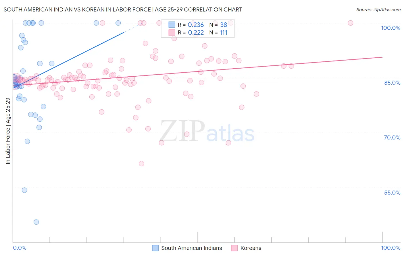 South American Indian vs Korean In Labor Force | Age 25-29