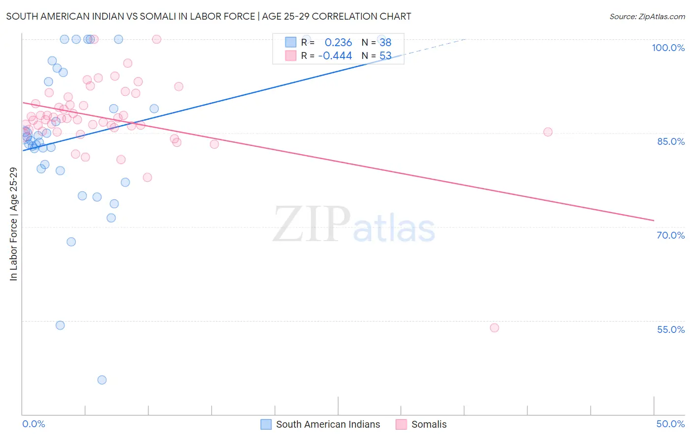 South American Indian vs Somali In Labor Force | Age 25-29