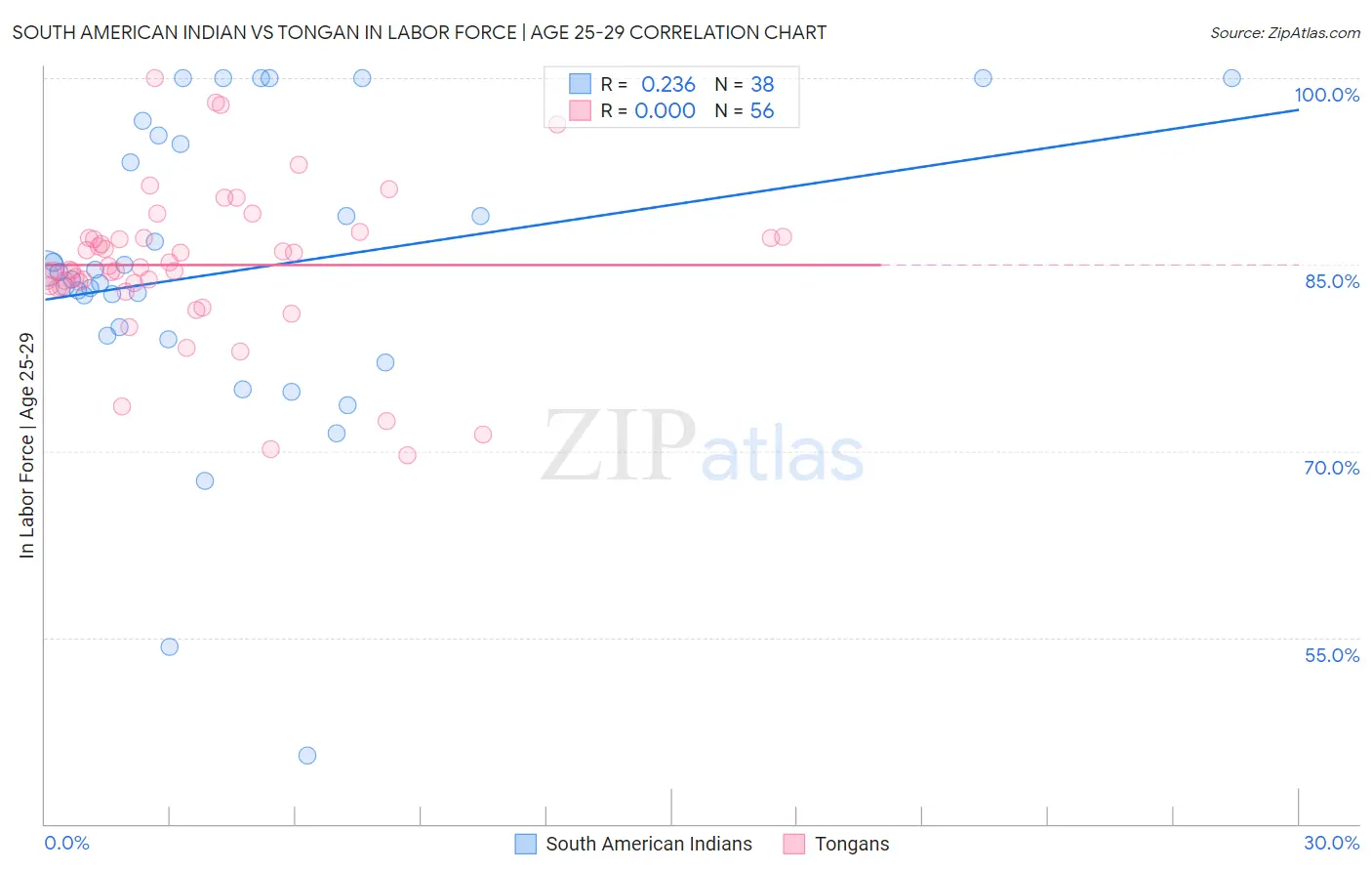 South American Indian vs Tongan In Labor Force | Age 25-29