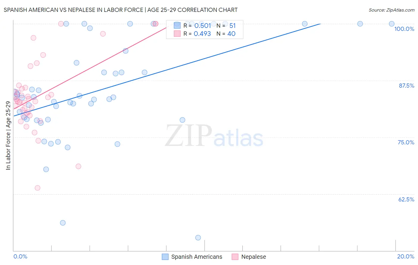 Spanish American vs Nepalese In Labor Force | Age 25-29