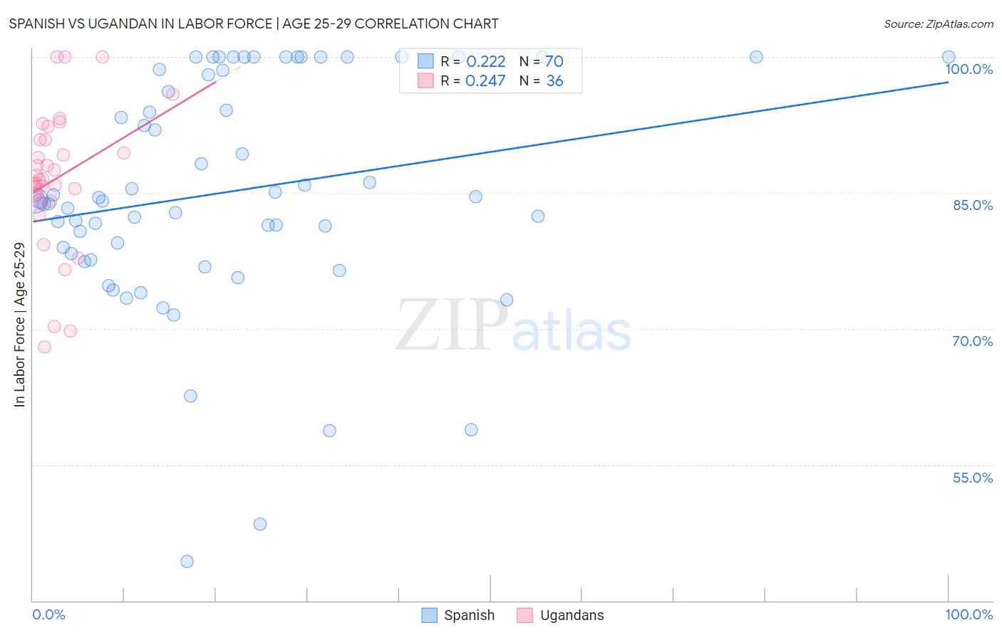 Spanish vs Ugandan In Labor Force | Age 25-29