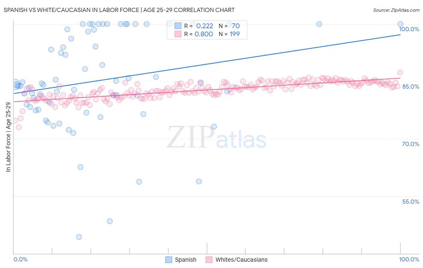 Spanish vs White/Caucasian In Labor Force | Age 25-29