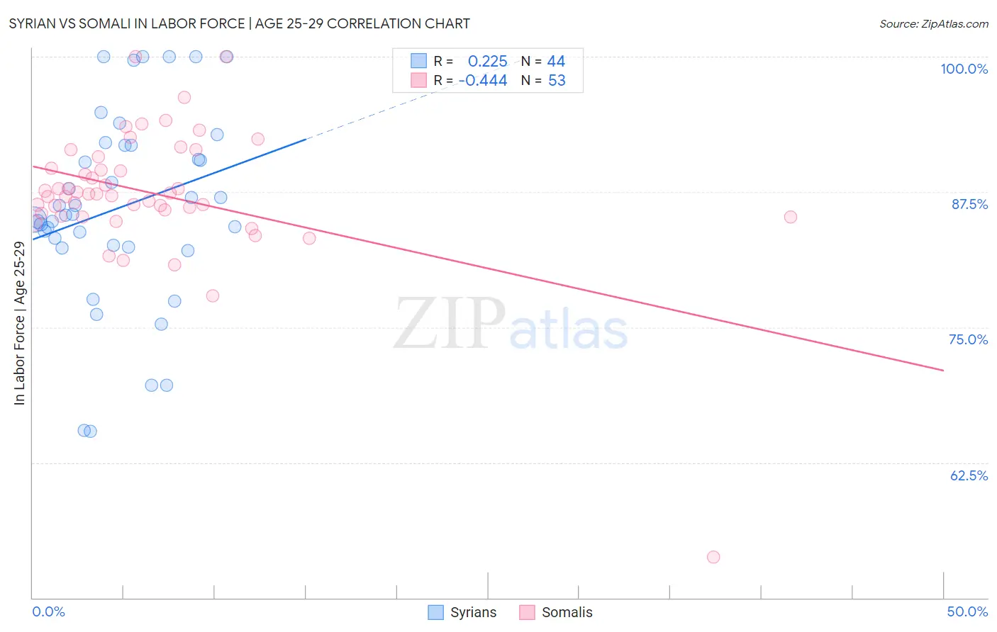 Syrian vs Somali In Labor Force | Age 25-29