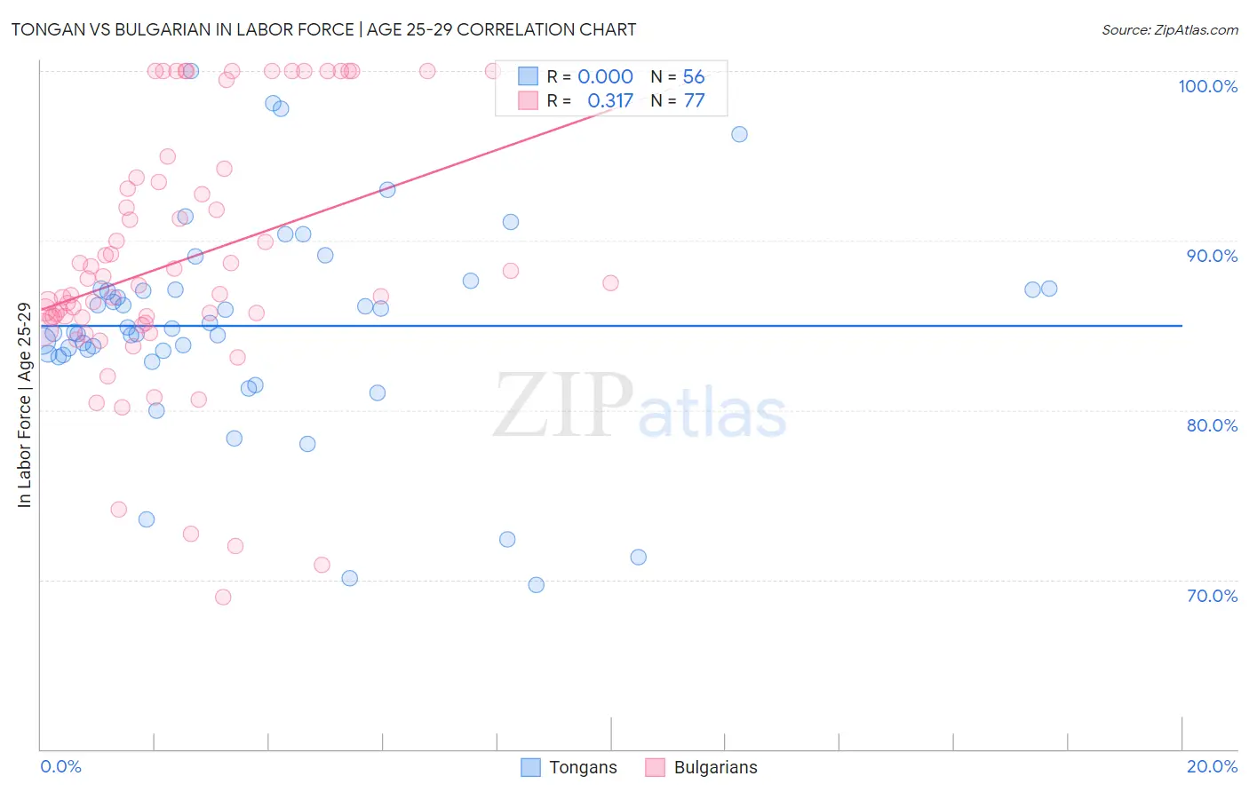 Tongan vs Bulgarian In Labor Force | Age 25-29