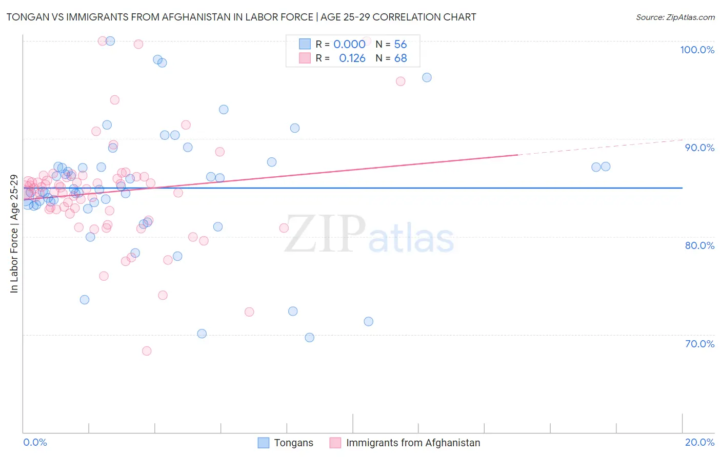 Tongan vs Immigrants from Afghanistan In Labor Force | Age 25-29