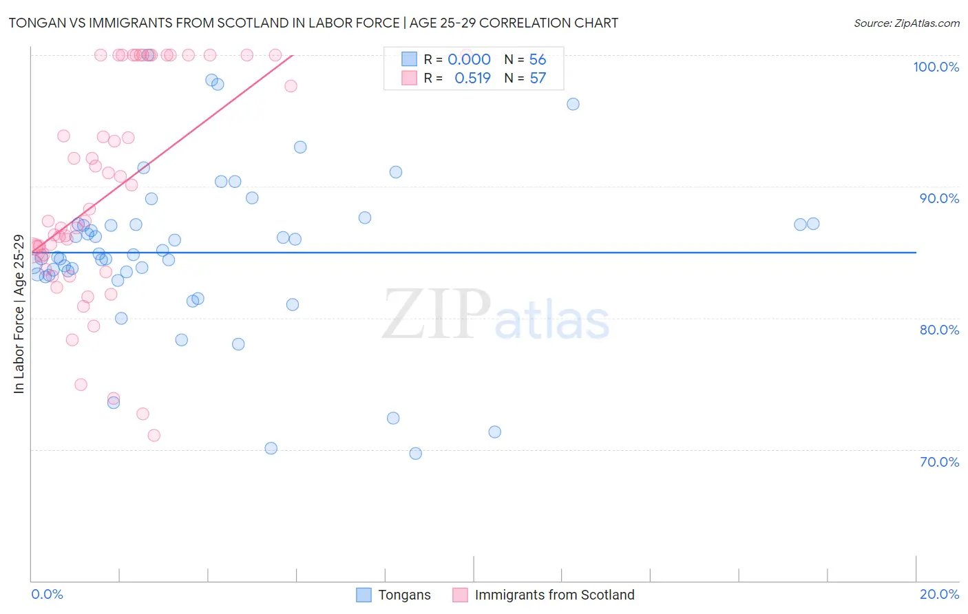 Tongan vs Immigrants from Scotland In Labor Force | Age 25-29