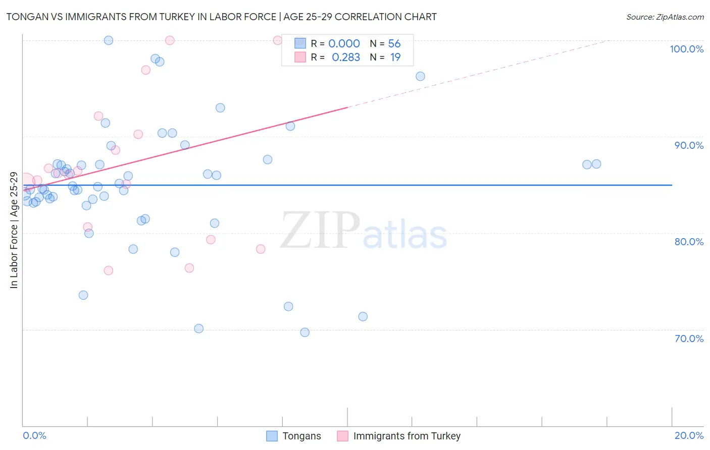 Tongan vs Immigrants from Turkey In Labor Force | Age 25-29