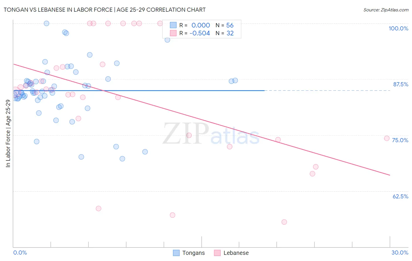 Tongan vs Lebanese In Labor Force | Age 25-29