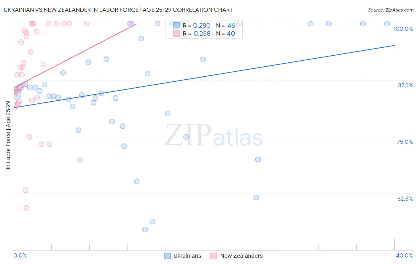 Ukrainian vs New Zealander In Labor Force | Age 25-29