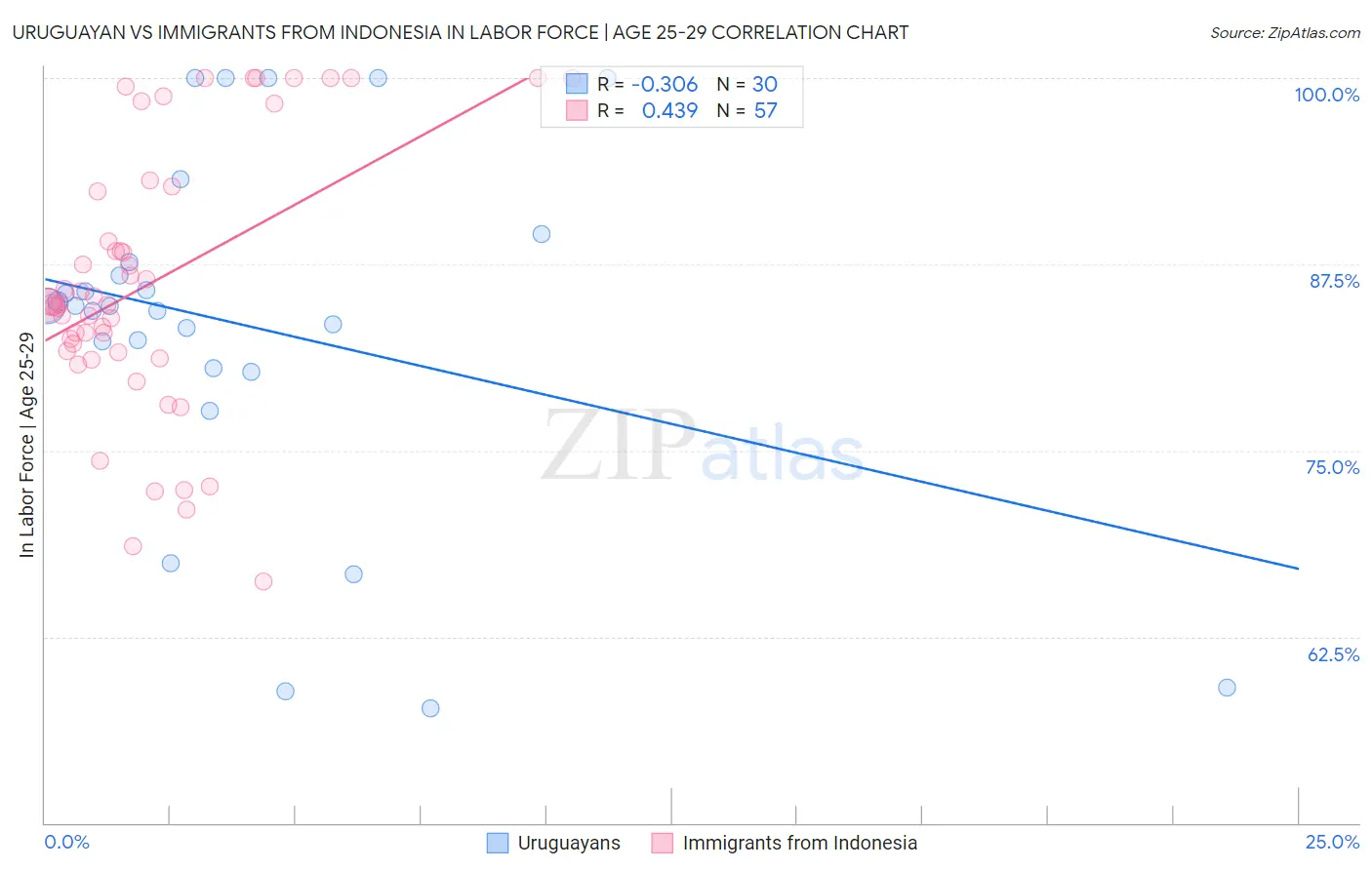 Uruguayan vs Immigrants from Indonesia In Labor Force | Age 25-29