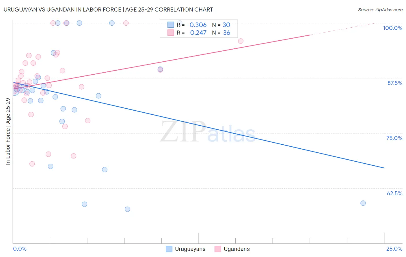 Uruguayan vs Ugandan In Labor Force | Age 25-29