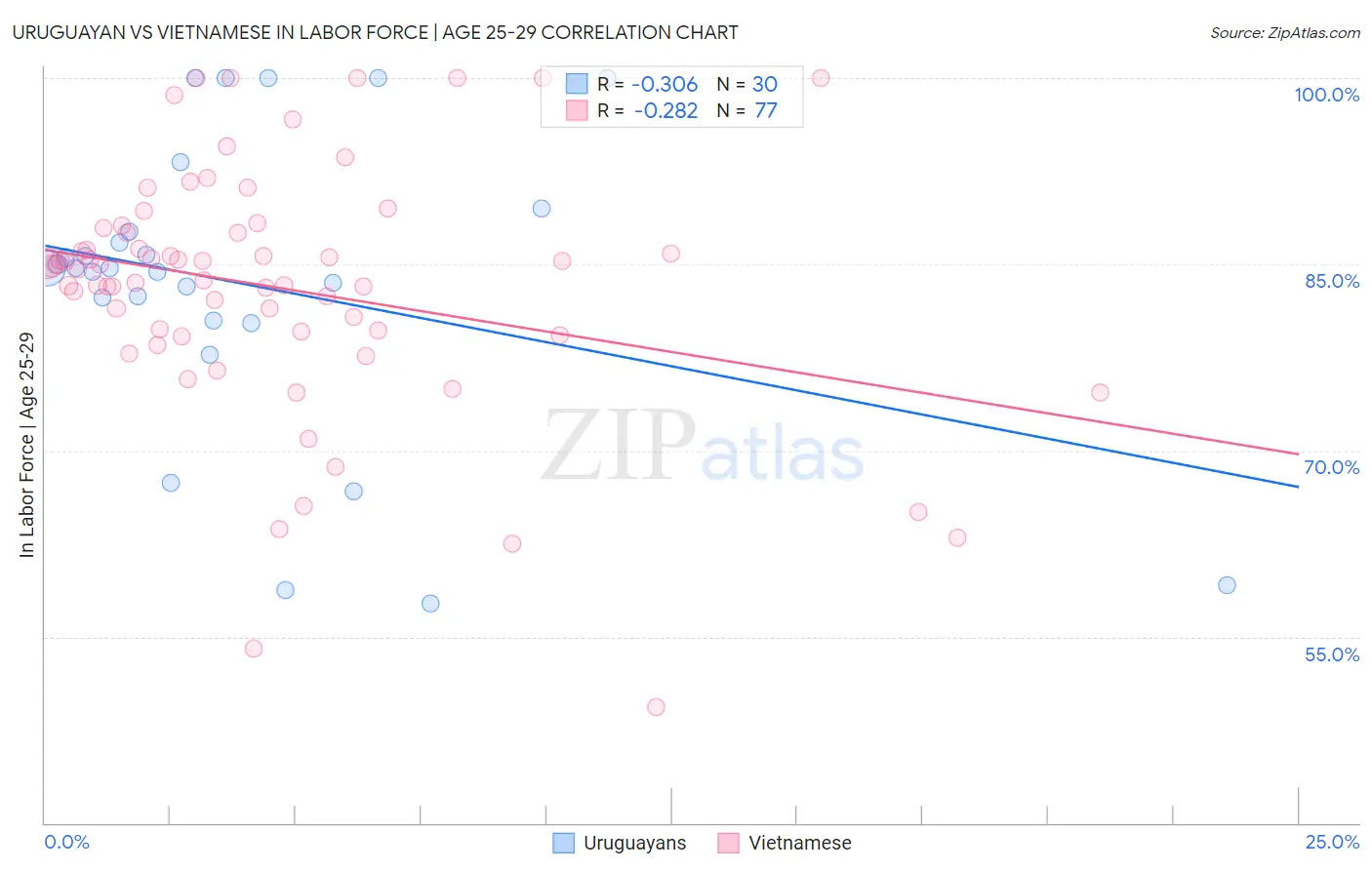 Uruguayan vs Vietnamese In Labor Force | Age 25-29