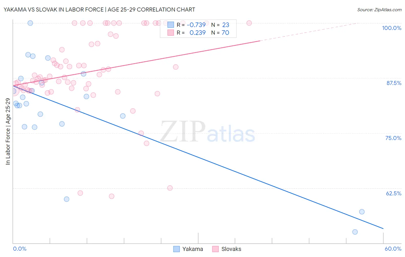 Yakama vs Slovak In Labor Force | Age 25-29