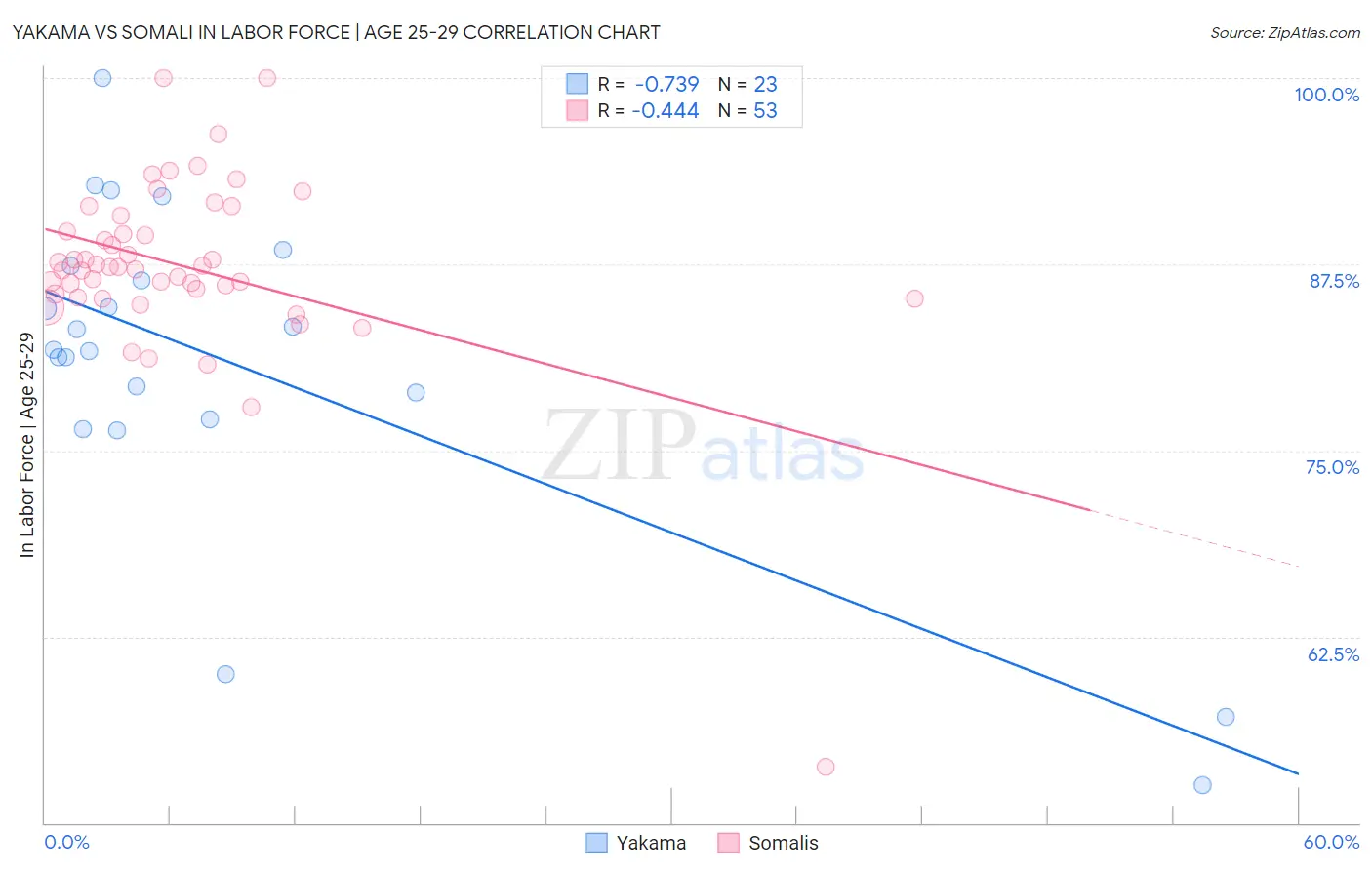 Yakama vs Somali In Labor Force | Age 25-29