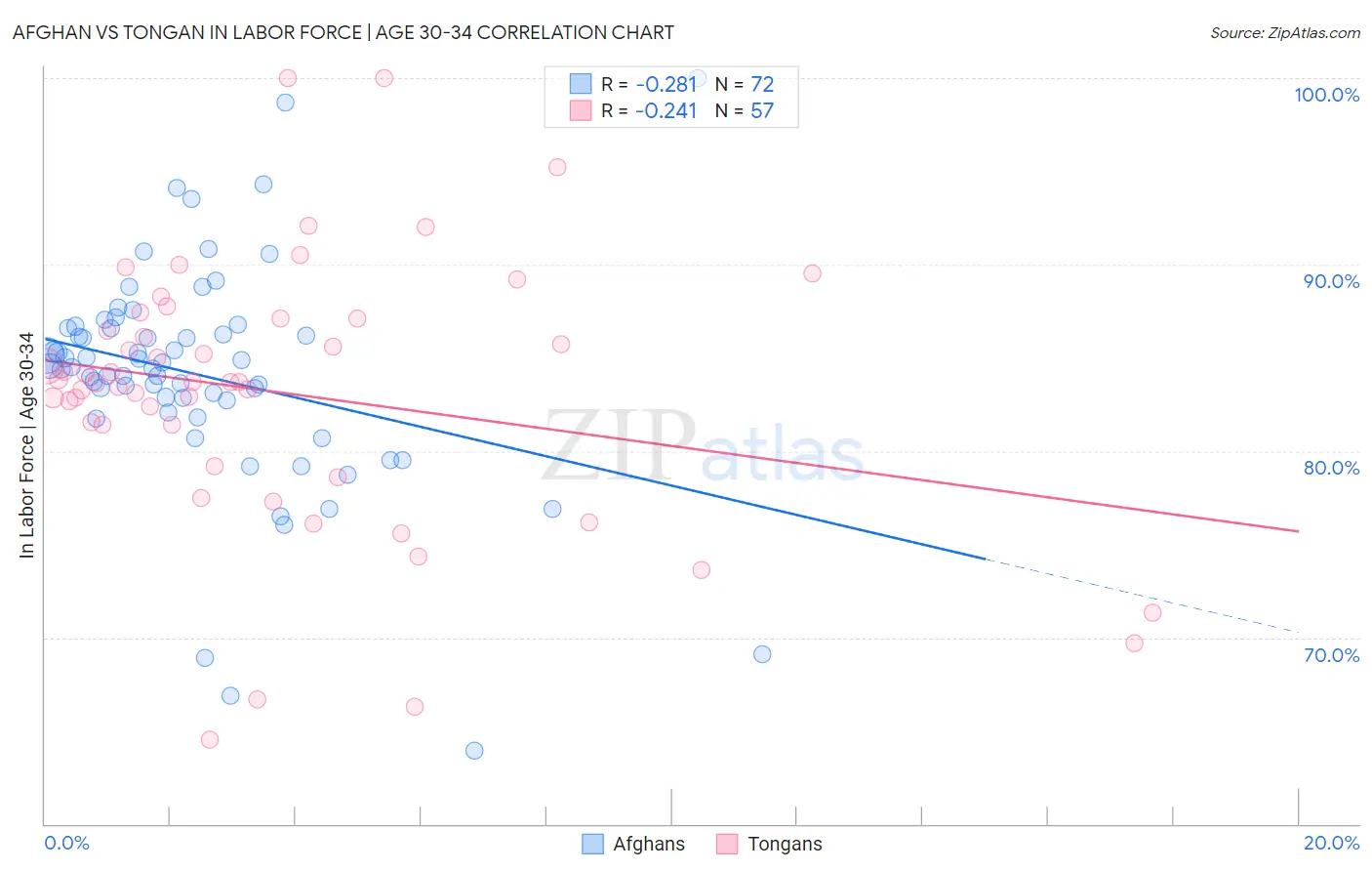 Afghan vs Tongan In Labor Force | Age 30-34