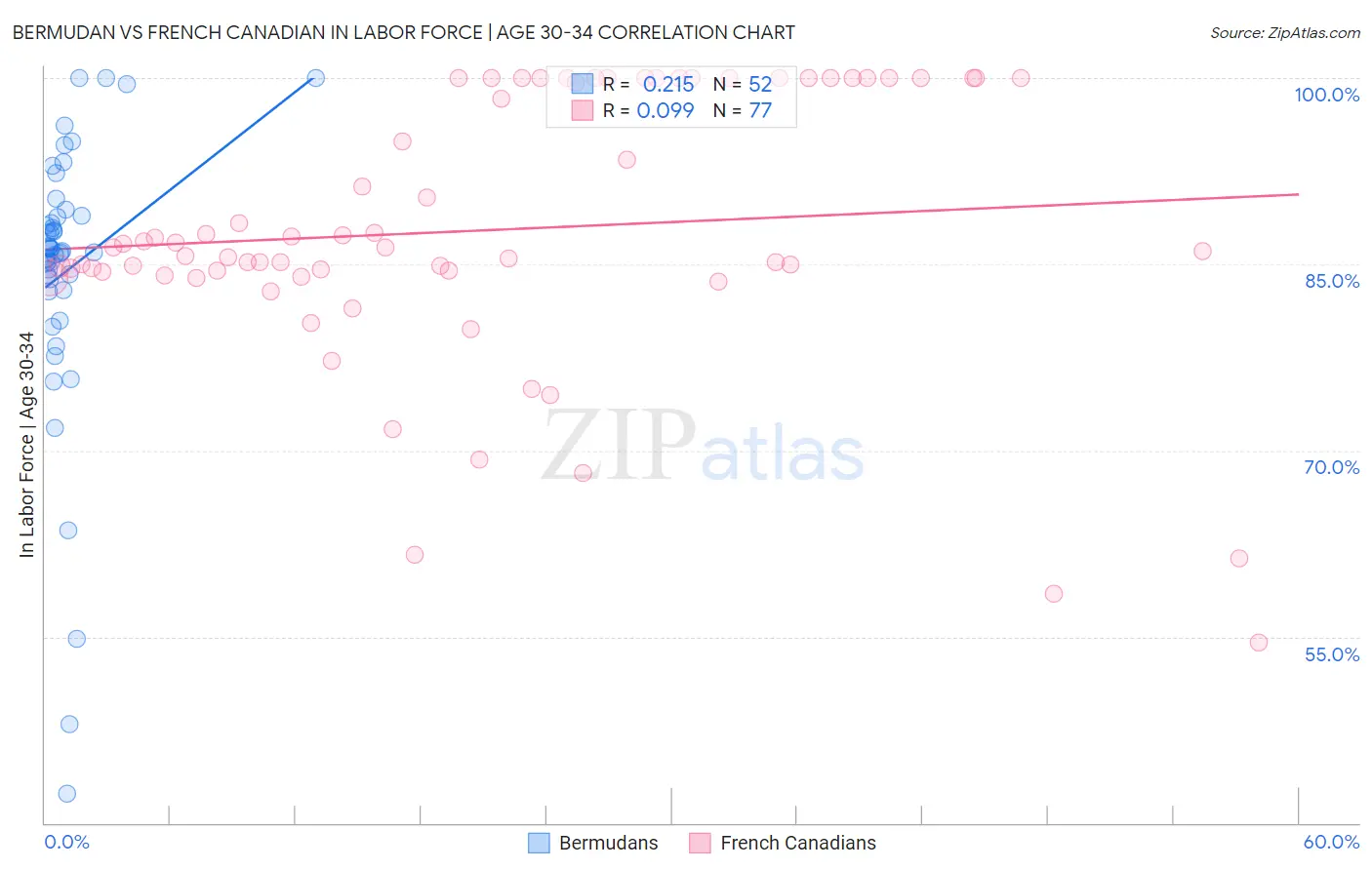 Bermudan vs French Canadian In Labor Force | Age 30-34