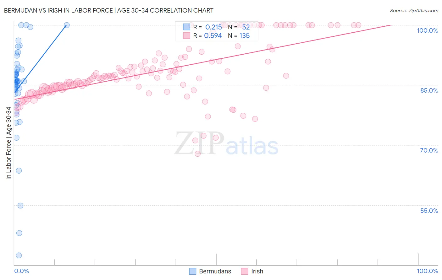 Bermudan vs Irish In Labor Force | Age 30-34