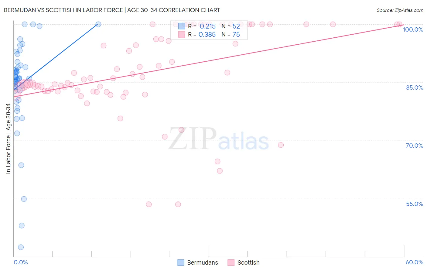 Bermudan vs Scottish In Labor Force | Age 30-34