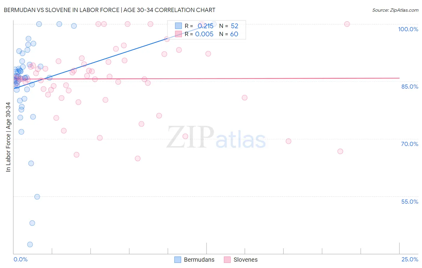 Bermudan vs Slovene In Labor Force | Age 30-34