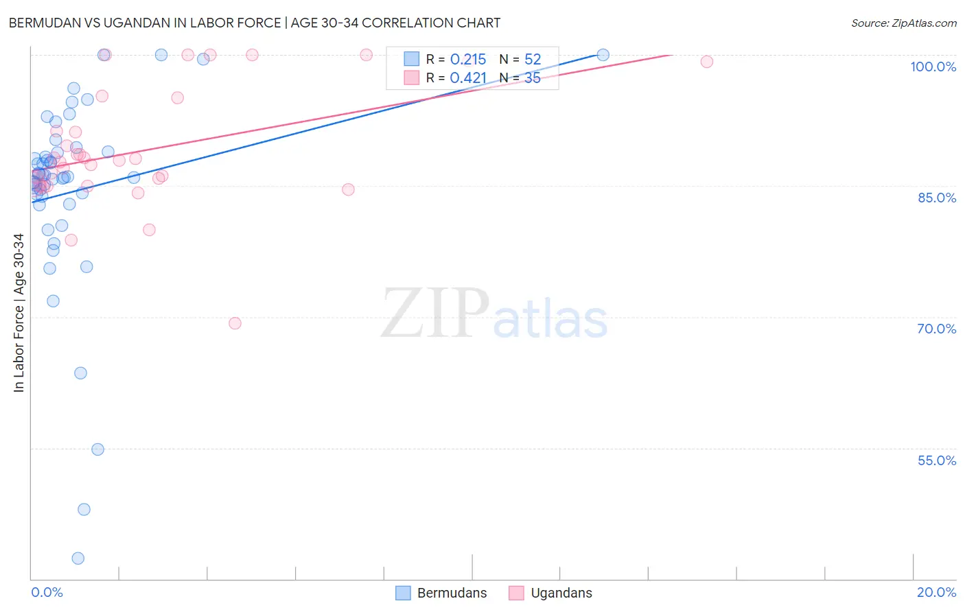 Bermudan vs Ugandan In Labor Force | Age 30-34