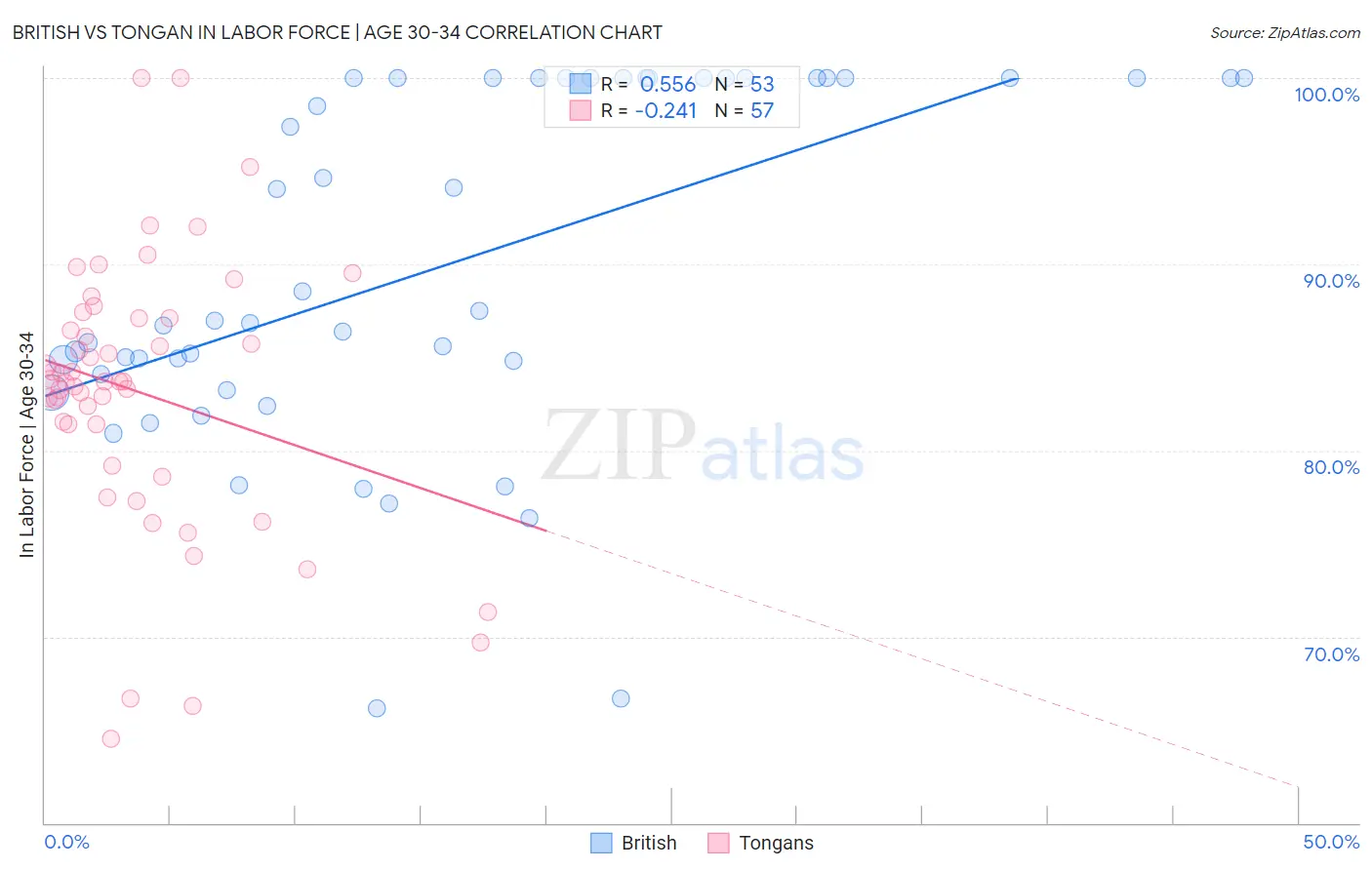 British vs Tongan In Labor Force | Age 30-34