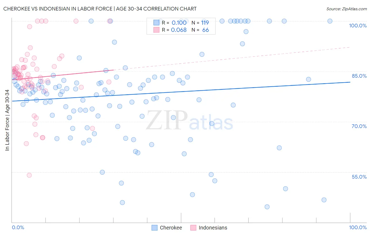 Cherokee vs Indonesian In Labor Force | Age 30-34