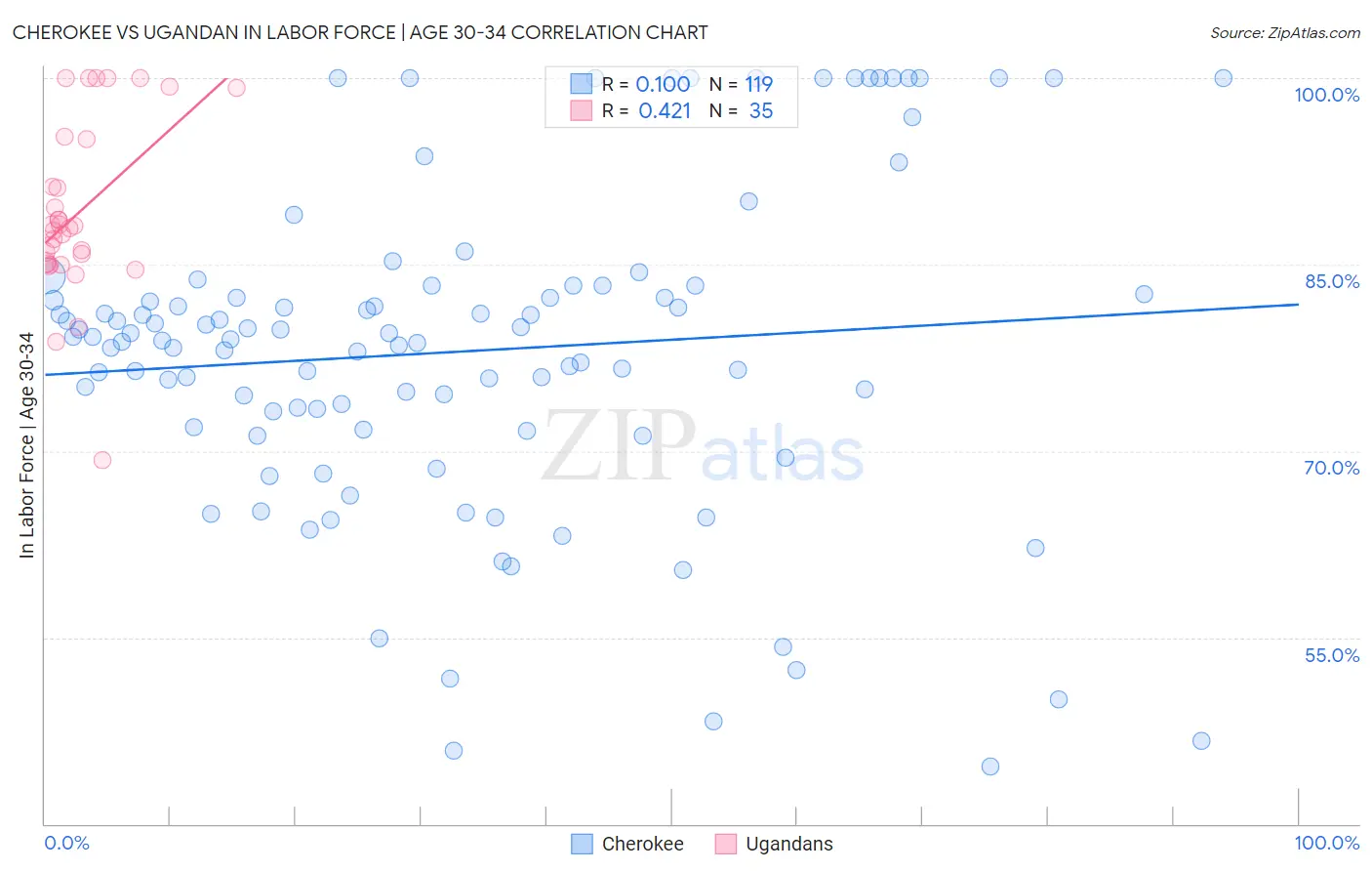 Cherokee vs Ugandan In Labor Force | Age 30-34