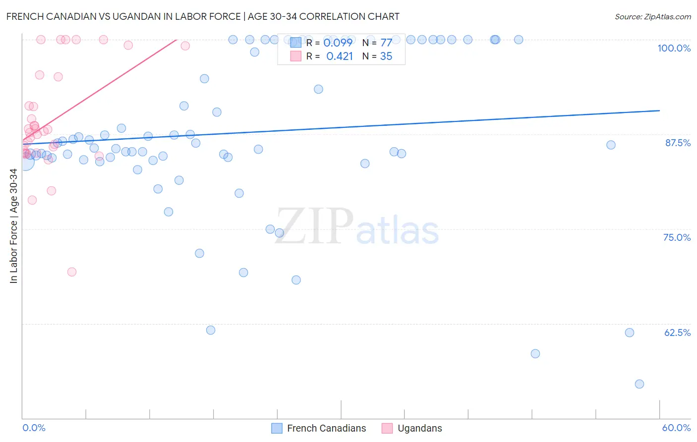 French Canadian vs Ugandan In Labor Force | Age 30-34