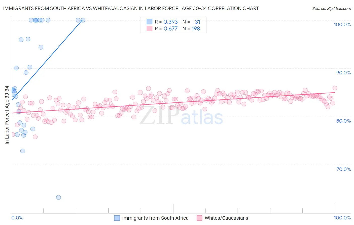 Immigrants from South Africa vs White/Caucasian In Labor Force | Age 30-34