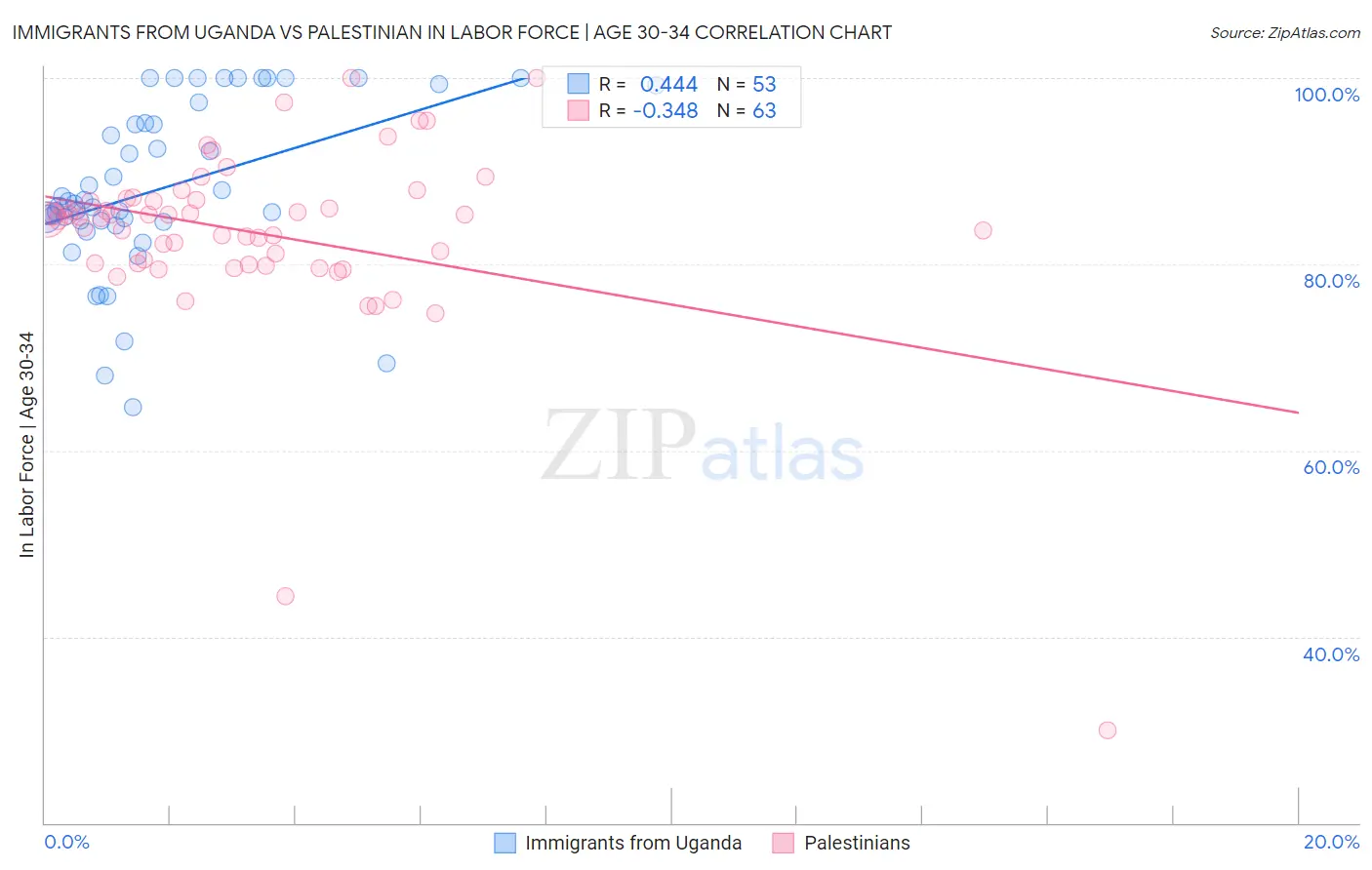 Immigrants from Uganda vs Palestinian In Labor Force | Age 30-34