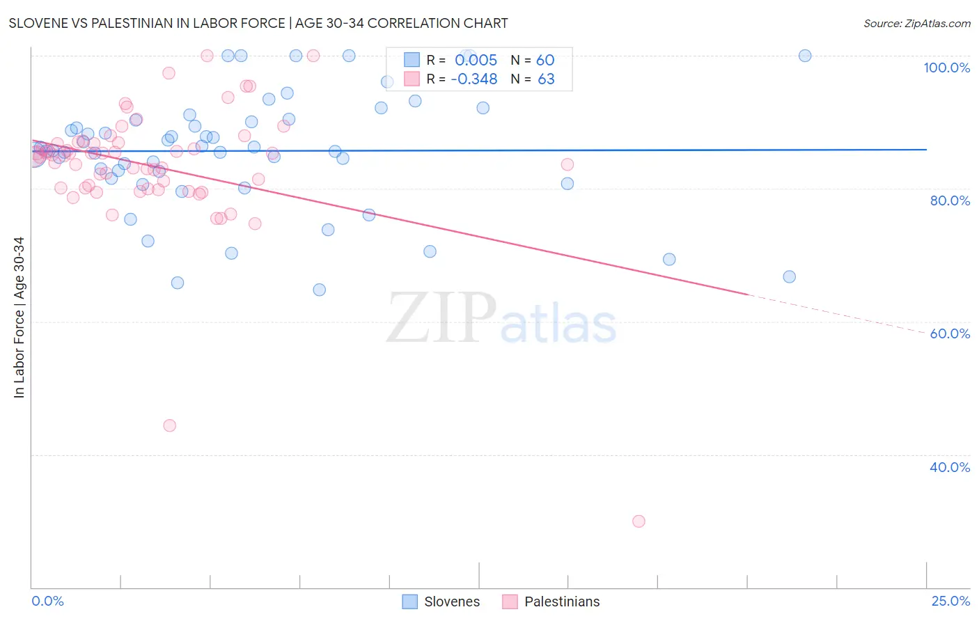 Slovene vs Palestinian In Labor Force | Age 30-34