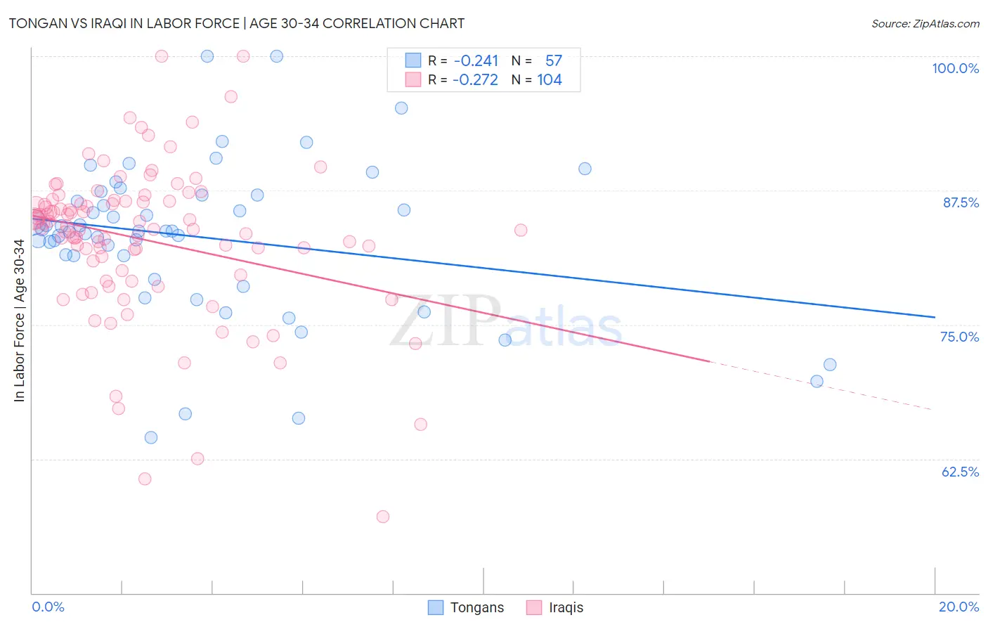 Tongan vs Iraqi In Labor Force | Age 30-34